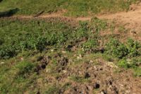 2015-07-01_1Pano-bei-Lacke (300).JPG